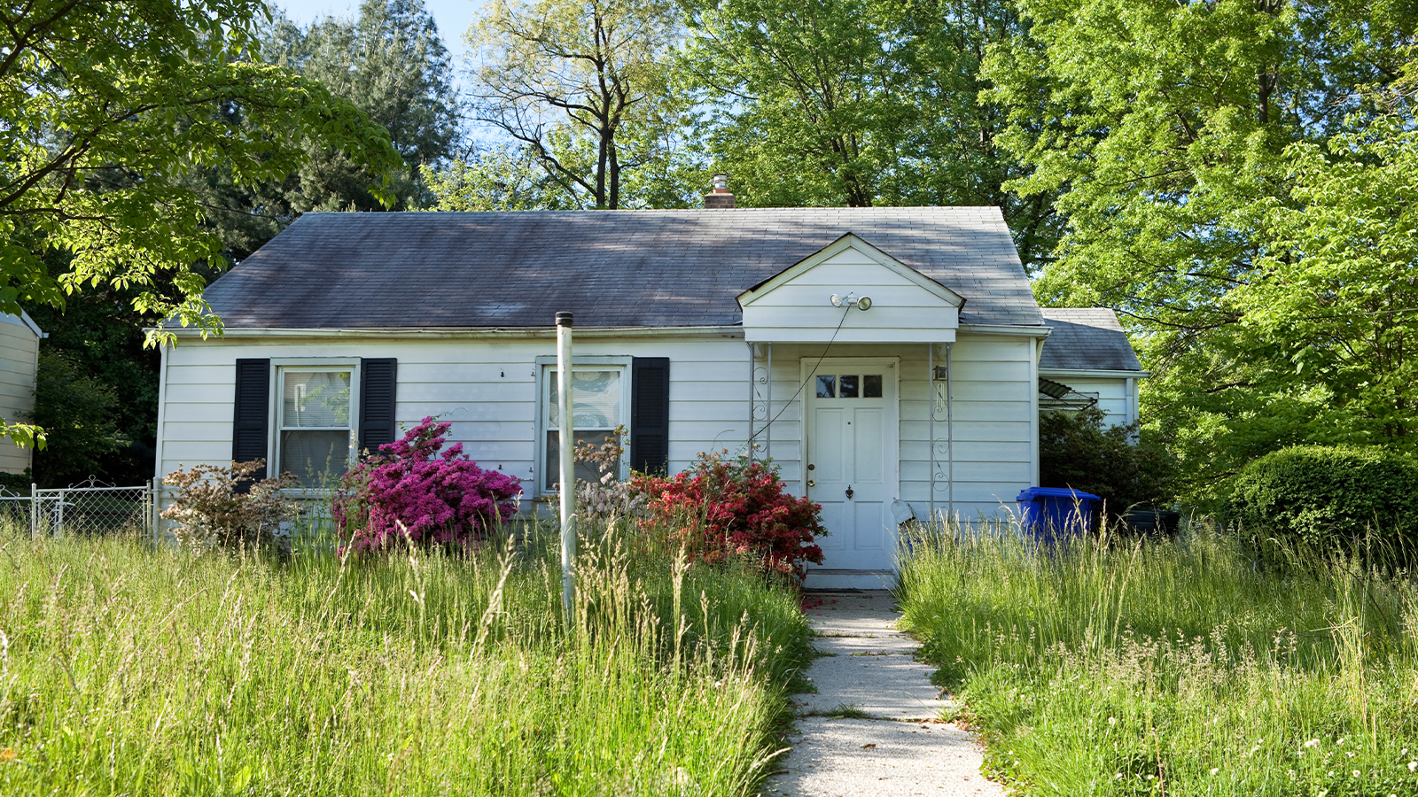 where we buy ugly homes